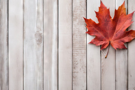 Autumn maple leaf fading in flat lay view on rustic white wood with enough space for textの素材