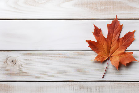 Autumn maple leaf fading in flat lay view on rustic white wood with enough space for textの素材