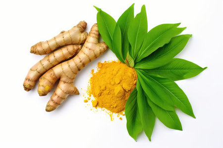 Turmeric root and powder on white background Top view Flat layの素材