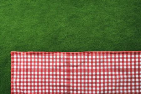 Empty space gingham tablecloth outdoors food advertisement design with red picnic blanket on green gの素材
