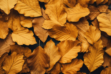 Autumn s yellow leaves fallen in gold textured flat layの素材