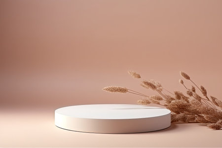 White geometric shape on a white round podium beige background with shadow Stand for product presentの素材