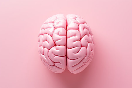 Close up of a pink background featuring a human brain model symbolizing neurosurgery and healthcareの素材