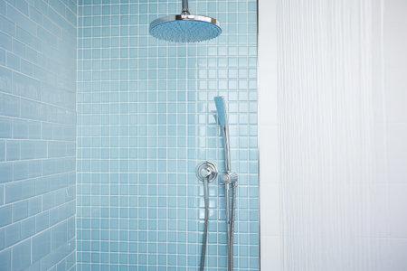 Contemporary bathroom with rainfall shower handheld shower glass door light blue and white tilesの素材