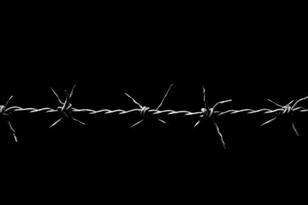 Barbed wire silhouette isolated on whiteの素材