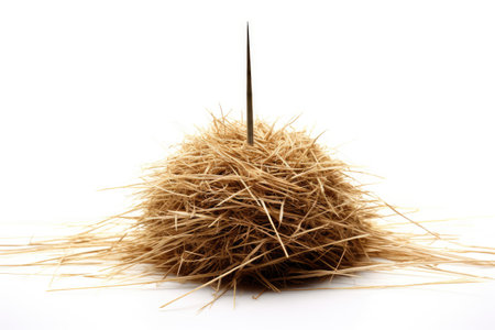 White background isolation of needle in haystackの素材