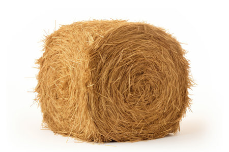 Hay bundle on white background as agricultural symbol of harvest with dried grassの素材
