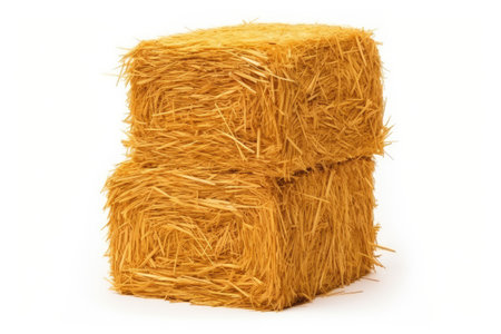 Hay is a tightly joined bale of straw seen alone on a white background in golden yellowの素材