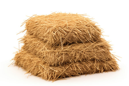 Isolated hay pile on white background symbolizing harvest with dried grass straw as a haystackの素材