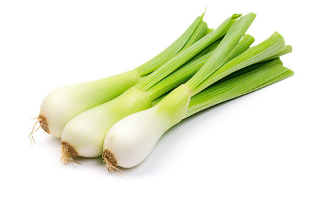 Closeup of isolated leek on white backgroundの素材