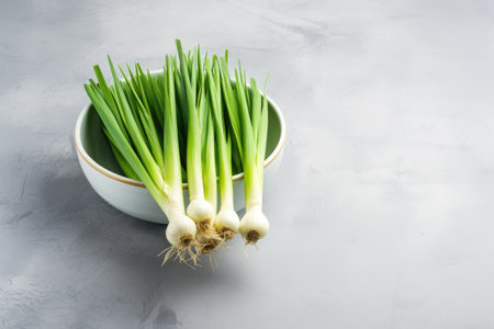 Fresh raw leek on grey table room for textの素材