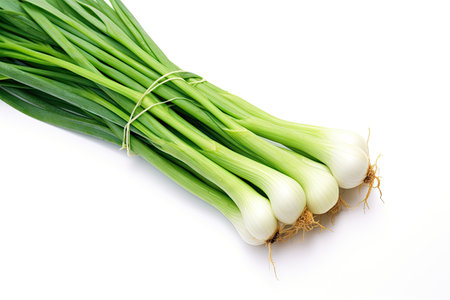 Top view of a green Japanese bunching onion isolated on a white backgroundの素材