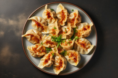 Top view of gyoza dumplings on a plate against a gray concrete backgroundの素材
