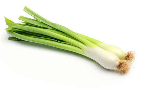 Leek on white backgroundの素材
