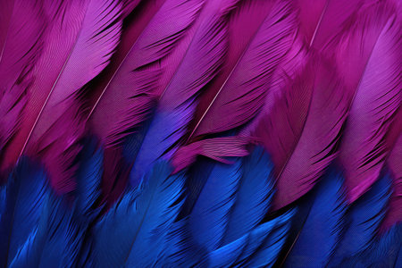 Macaw s feather texture blue and purpleの素材