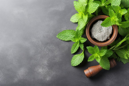 Mint crushed with mortar and pestle on a gray surface flat view Room for textの素材