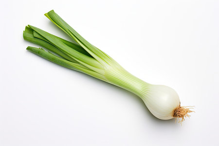 Green leek on whiteの素材