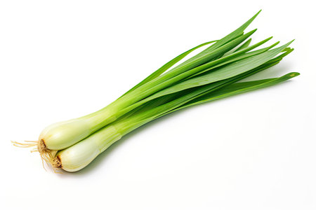 Green leek cut on white backdropの素材