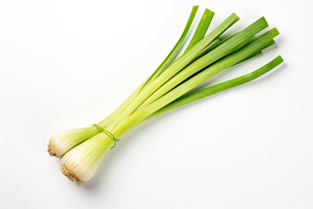 Top down view of a leek vegetable isolated on a white backgroundの素材