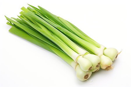 Fresh green leeks on a white background isolatedの素材