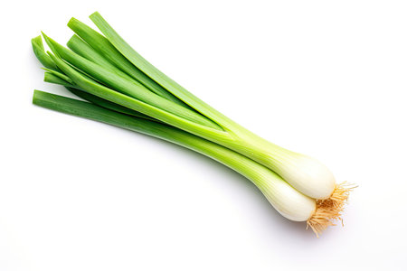 Top down view of a leek vegetable isolated on a white backgroundの素材