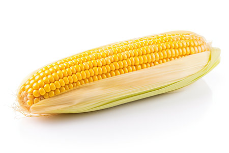 Corn cob boiled and isolated on white.の素材