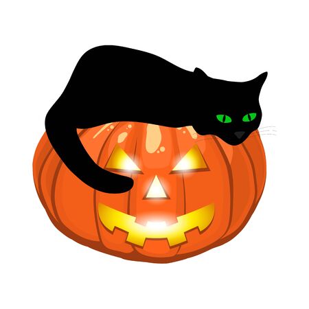 Black cat lies on an evil pumpkin jack lantern for halloweenのイラスト素材
