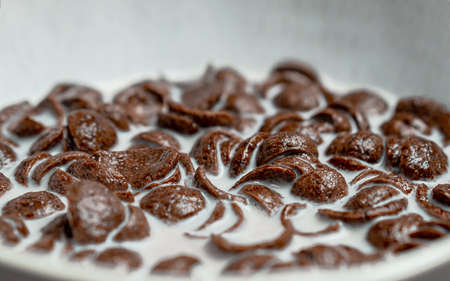 Cereal Milk, BREAKFAST Bowl Chocolate, nutrition snack food, Close upの写真素材