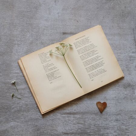open book flower on a gray background wooden heart