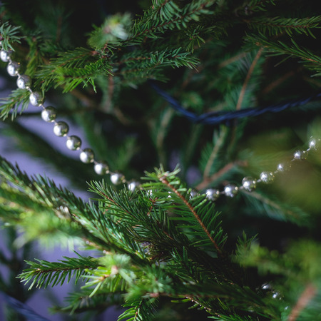 Decorated Christmas tree on blurred, sparkling and fairy backgroundの写真素材