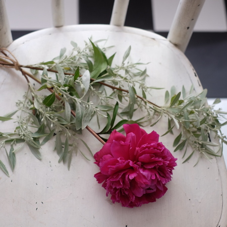 Bunch of peony flowers on white tablecloths with vintage wilted petals crumbledの写真素材