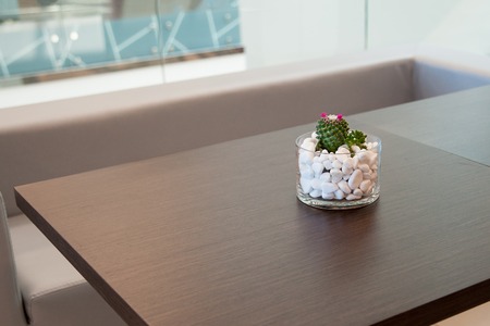 Miniature cactus succulent plant in a glass vase with white gravel. Selective focus