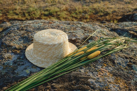 straw hat canyon and bulrush on a stone background