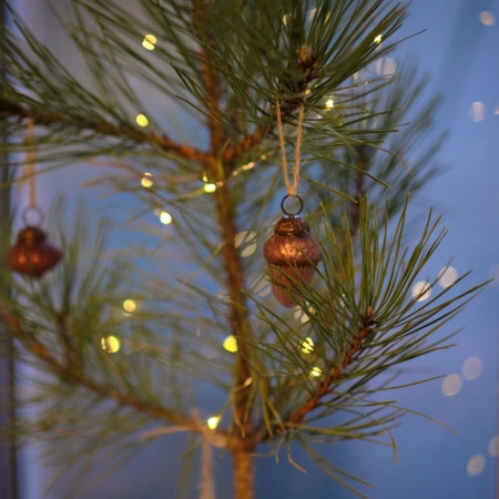 Christmas tree lights evening atmosphere snow happy new yearの写真素材