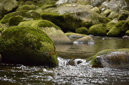 waterの写真素材