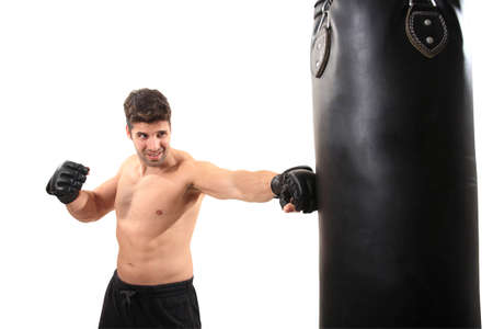 young boxer exercising isolated on a white backgroundの写真素材