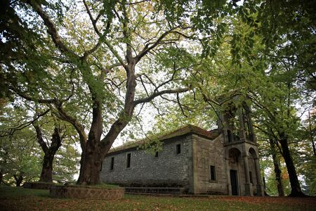 beautiful church surrounded by trees in a park