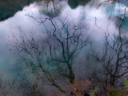 reflection of trees in the water of a lakeの写真素材