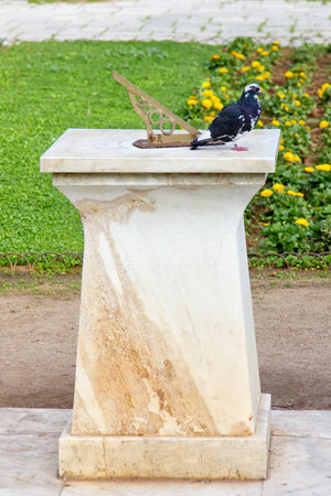 ancient sun clock with pigeon sitting on it in the national park in Athens 
