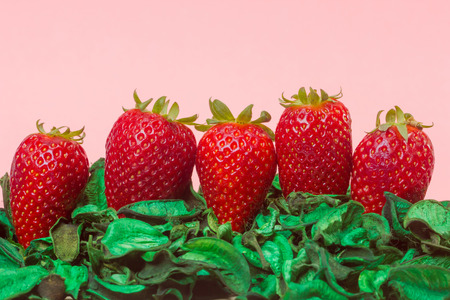 closeup of fresh strawberries on a green dried leafの写真素材