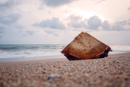 Cloudy beach with waves and a piece of wood after stormの写真素材