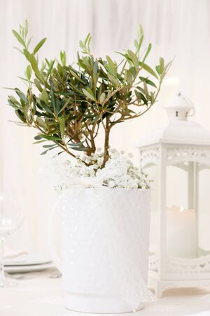 set up of a wedding table decorated with flowersの写真素材