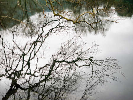 small lake louros with trees and fresh water in north greece close to ioanninaの写真素材