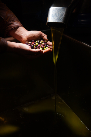 Hands with olives and olive oil pouring from a pipeの写真素材