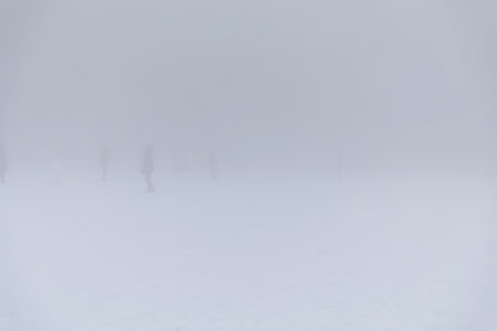 Silhouette of people in a forest covered with snow in the mistの写真素材
