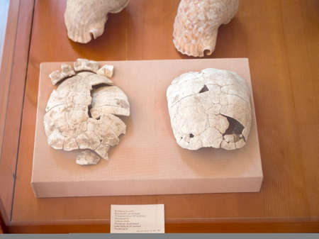 MILOS - GREECE, JULY 14, 2017: Ancient greek exhibits of the museum in Milos island, Greeceのeditorial素材