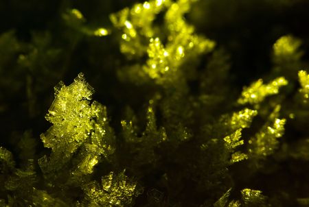 Snow flake in the sun, closeup