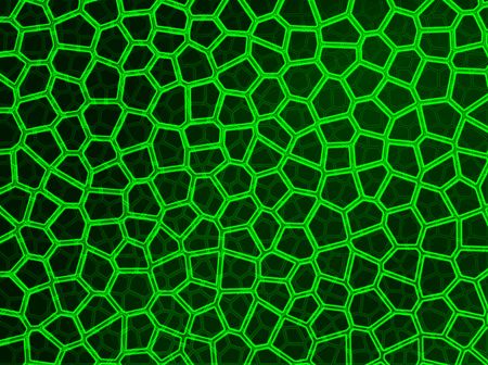 Green color neon lights intersecting looking like a web designの写真素材