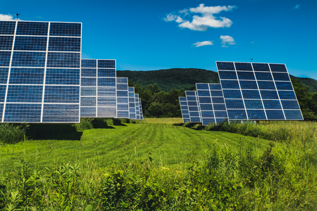 Rows of solar panels
