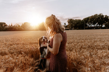 Senior caucasian woman playing with border collie dog on wheat field. Friendship conceptの写真素材